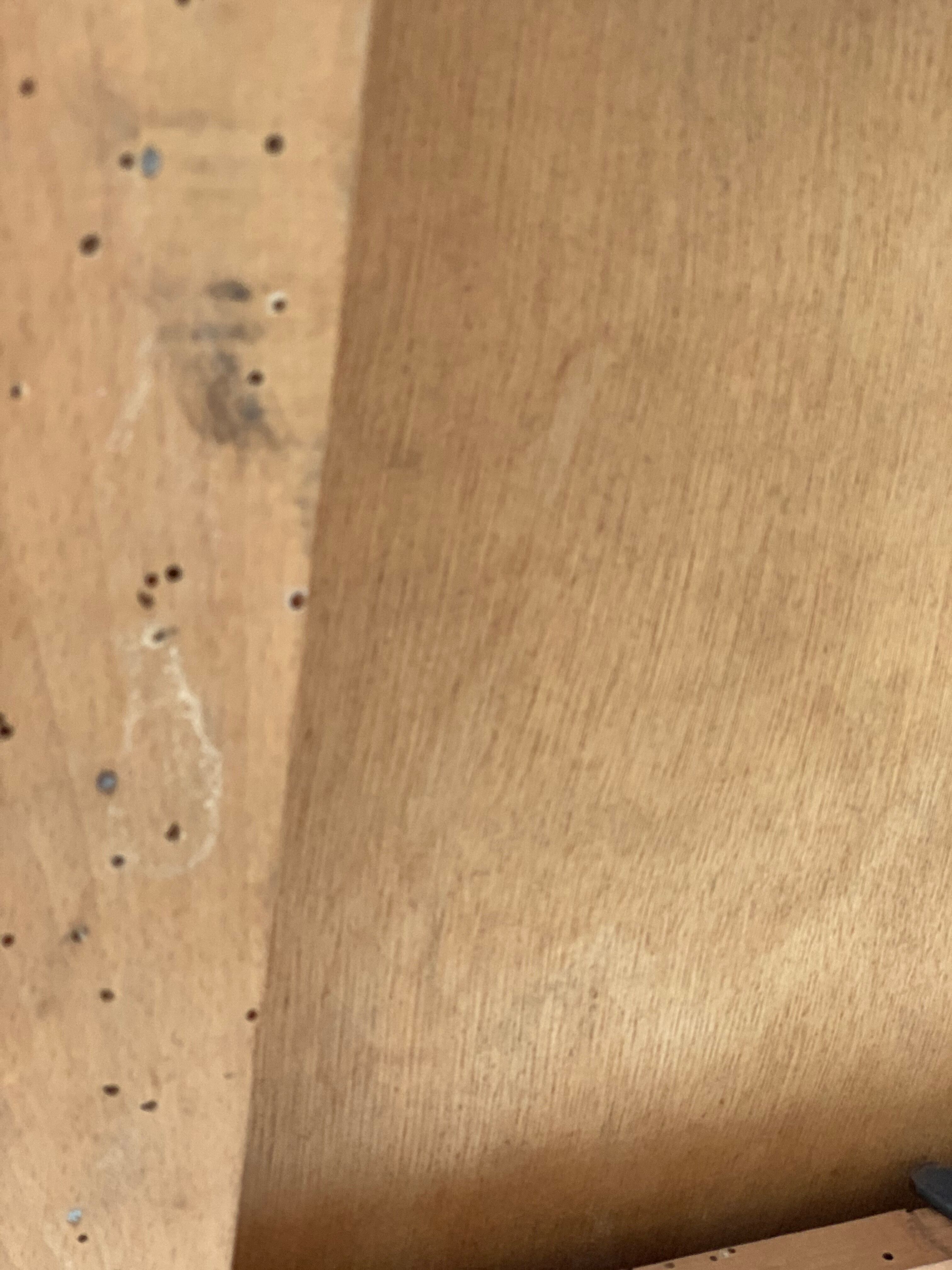 Venetian hairdresser 1950