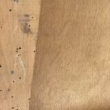 Venetian hairdresser 1950