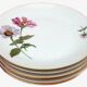 6 flat plates Fine Bohemian porcelain Floral decoration on a white background