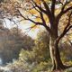 Tableau HST Landscape of the forest "towards Bozouls" Aveyron signed L. de Clereauvill