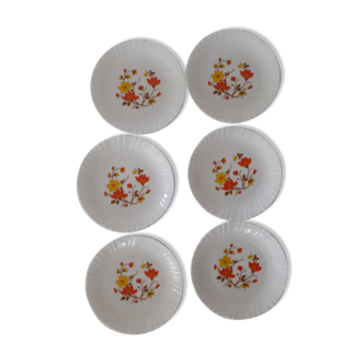 6 Dessert plates arcopal France vintage orange & yellow flowers