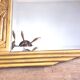 Antique Art Deco mercury mirror, in carved wood with gold leaf.