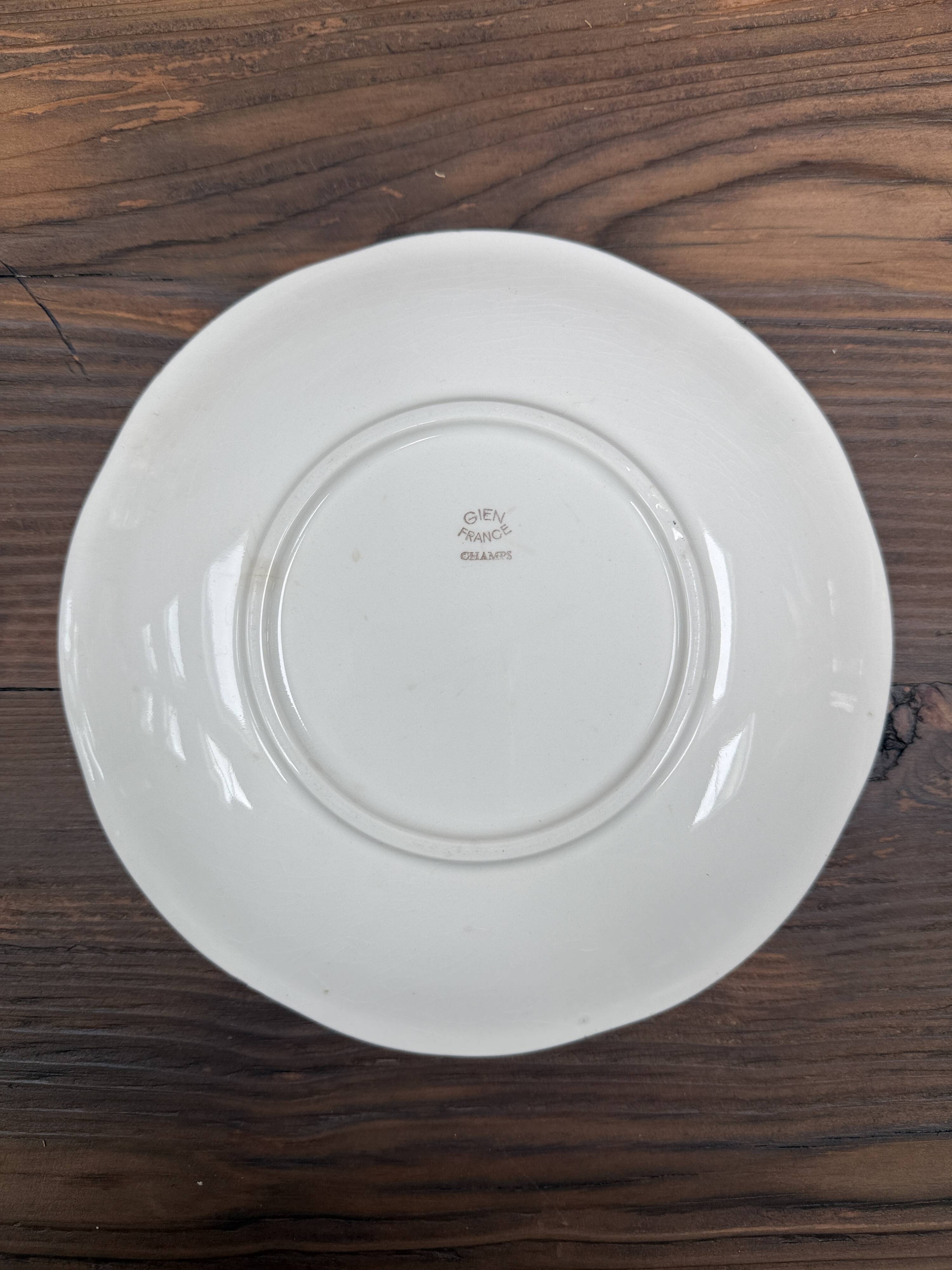 Flat plates Gien Champs