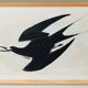 Poster about the Sooty Tern, after an old engraving from 1827.
