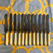 Série de 12 couteaux manche corne