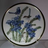 12 assiettes "oiseaux chanteurs du monde", Franklin Wedgwood Singer Arthur 1977