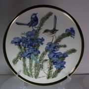 Franklin Wedgwood Singer Arthur plates 1977 x12 "songbirds of the world"