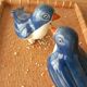 2 oiseaux bleu en Faïence émaillée