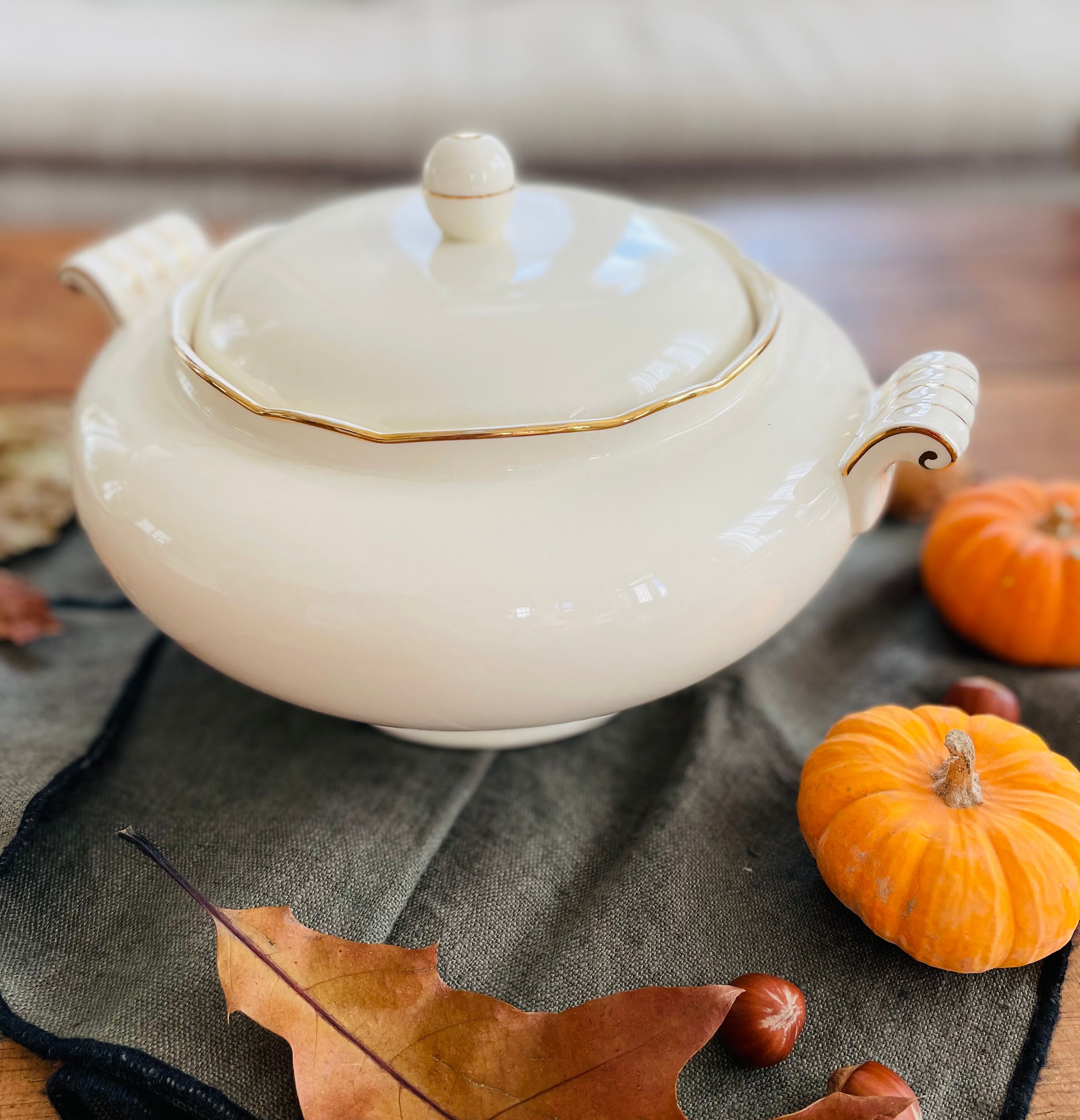 Villeroy & Boch porcelain tureen Rhône collection