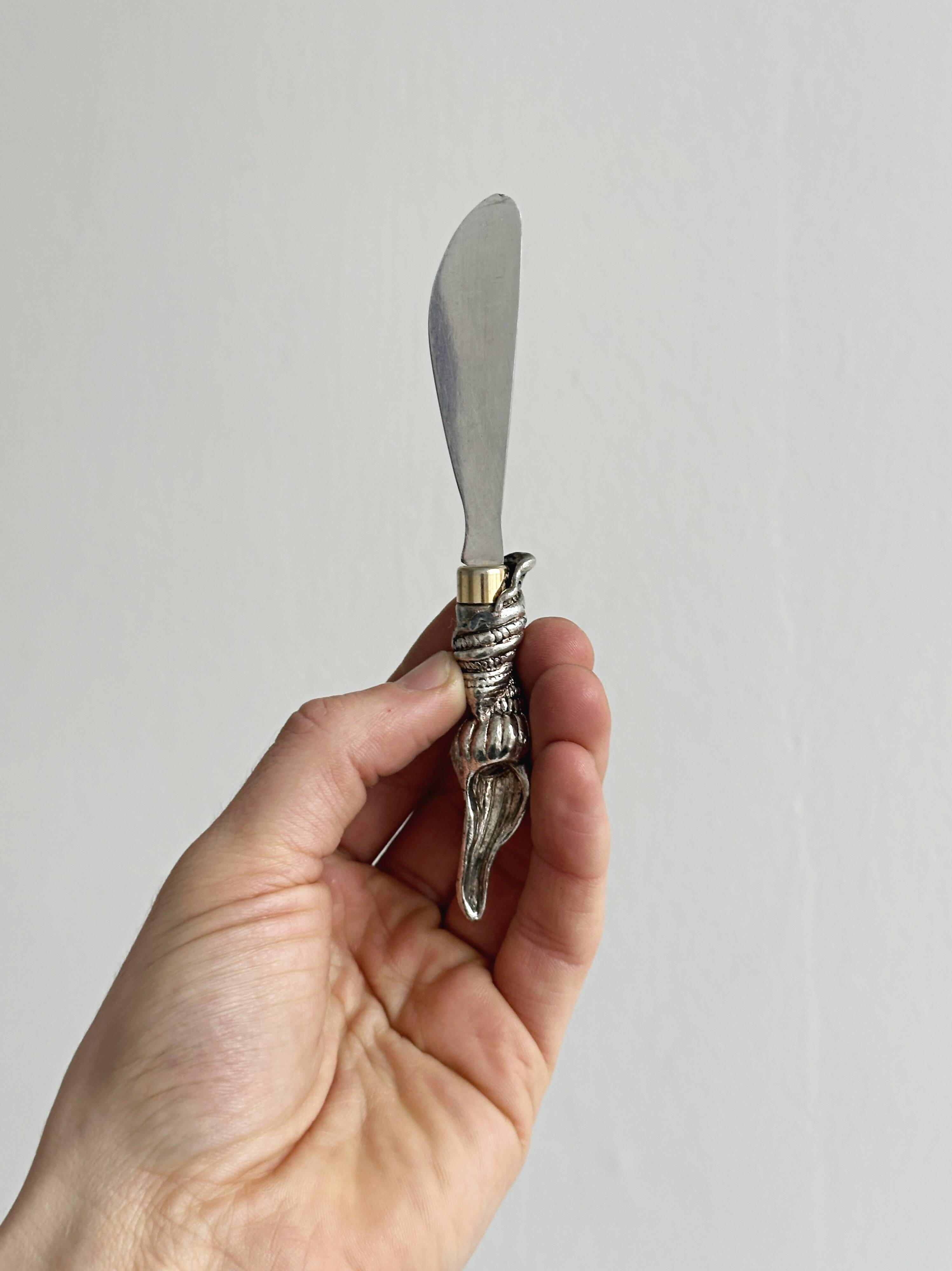 Couteau à beurre élégant en métal brillant