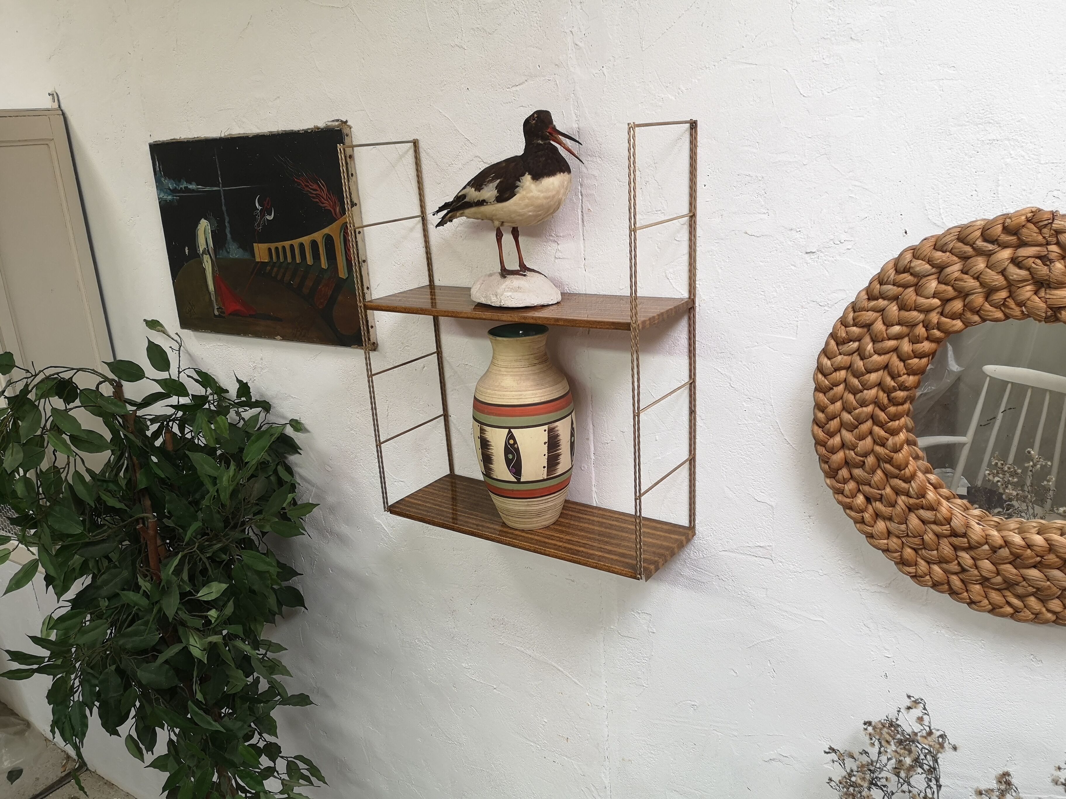Modular shelf 50/60