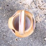 Vase enamelled sandstone