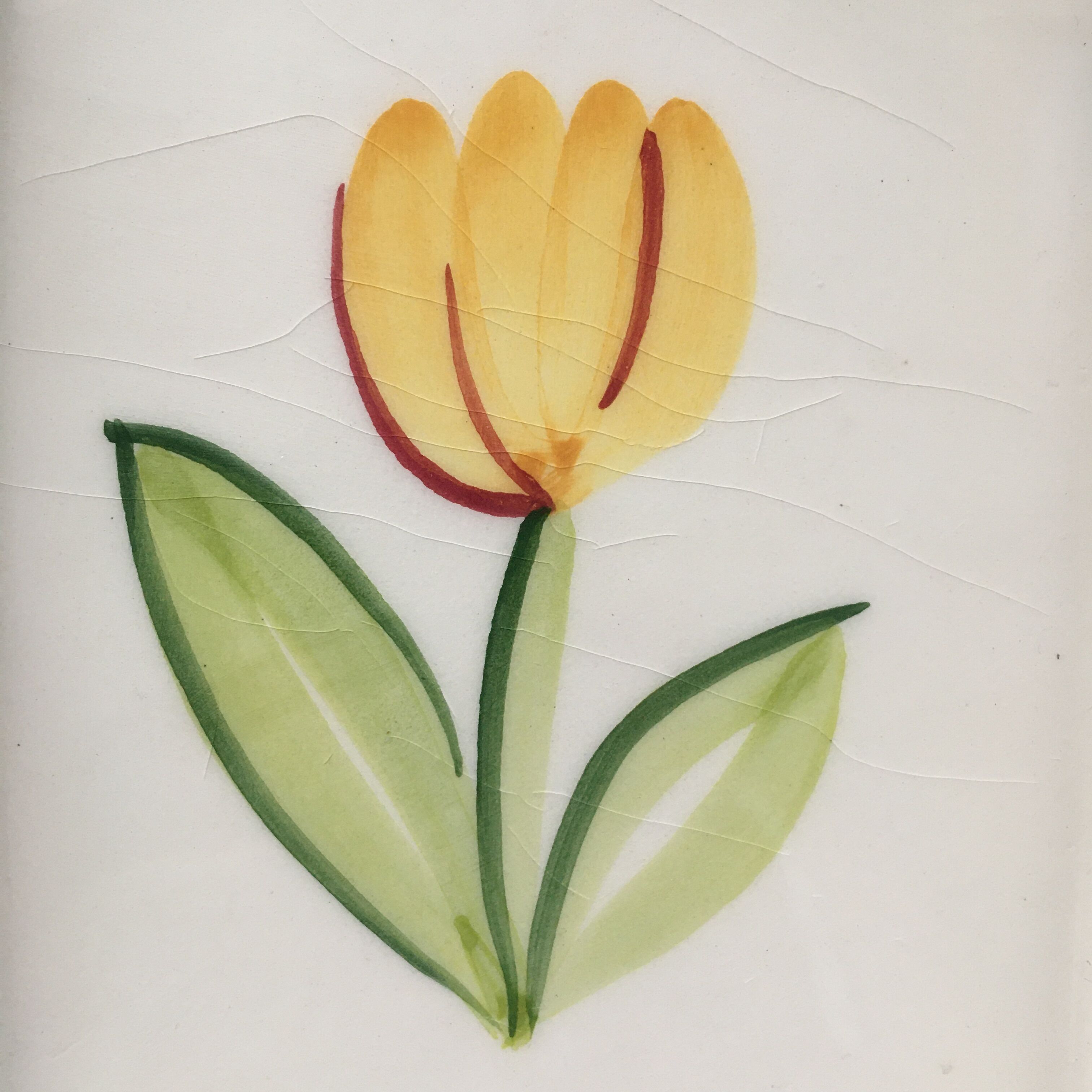 Empty pocket decoration yellow tulip