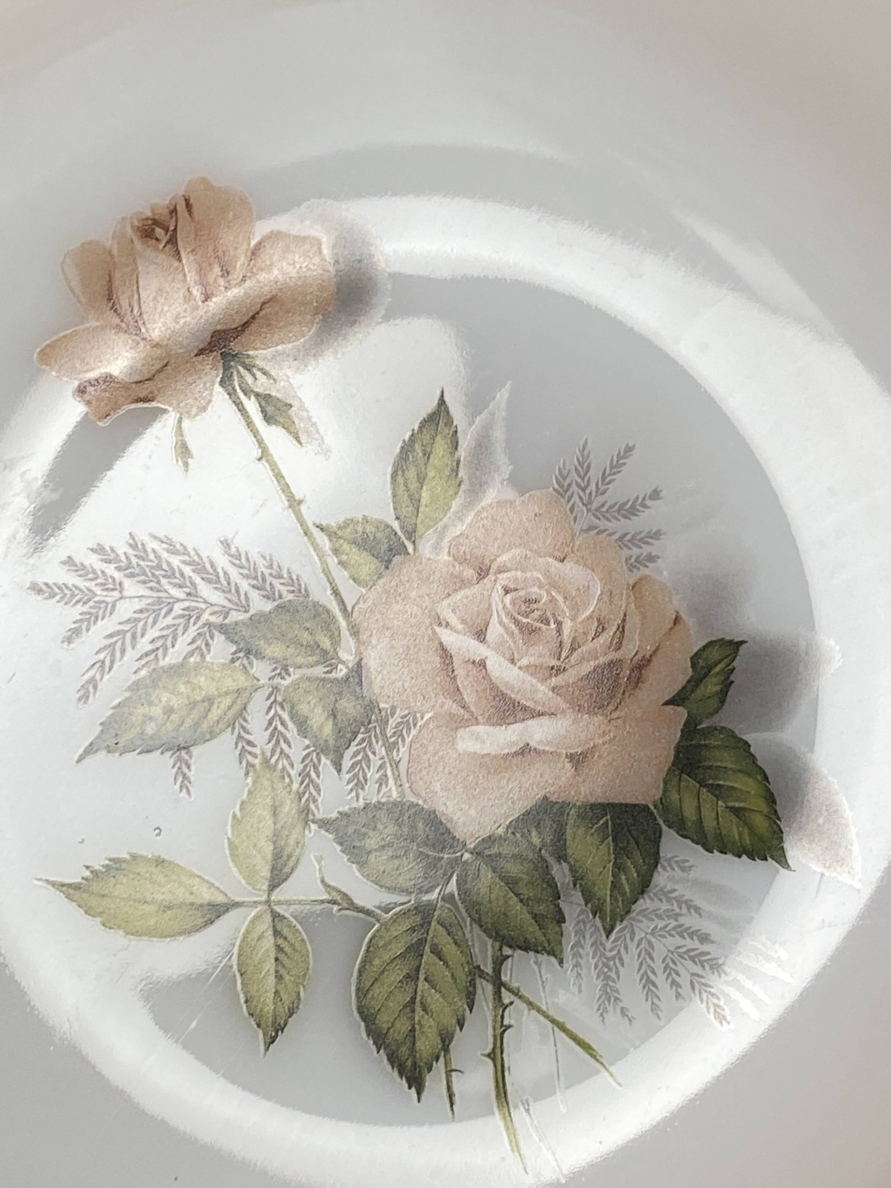 Set de 6 assiettes creuses Arcopal Rose de France