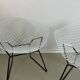 Two Diamond chairs by Harry Bertoia for Knoll mid-century 1970s.