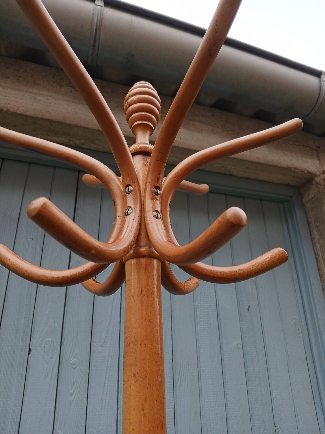 Antique parrot coat rack