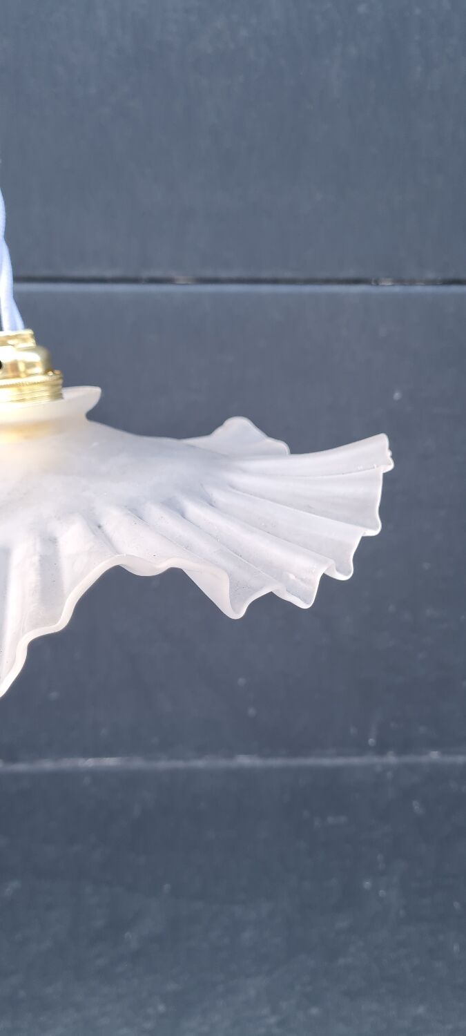 Frosted glass pendant light