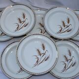 10 Hollow plates wheat pattern - gold edged - pl -porcelain vintage