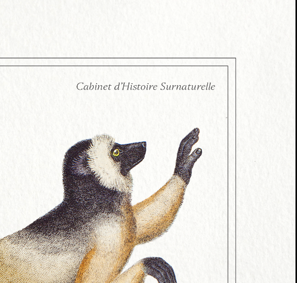 Set of 3 chimeras lithography animal engraving