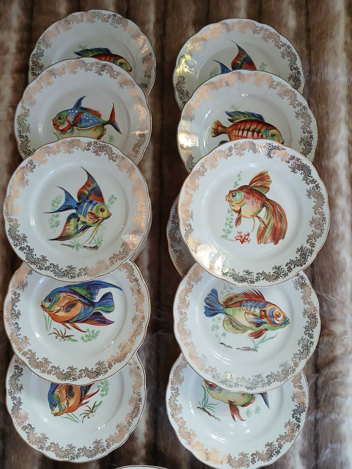 12 antique "Royal" dinner plates + 1 dish