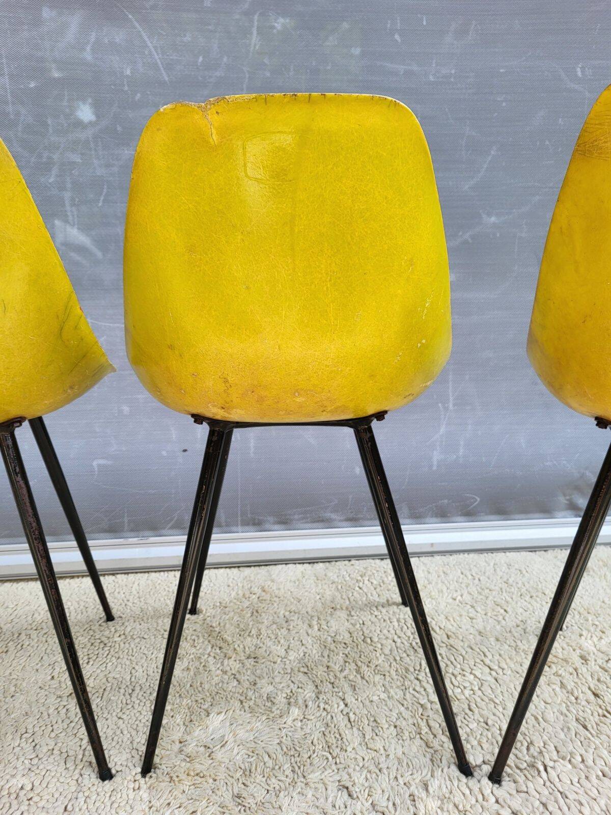 4 chaises Coccinelle René-Jean Caillette pour Steiner 1950