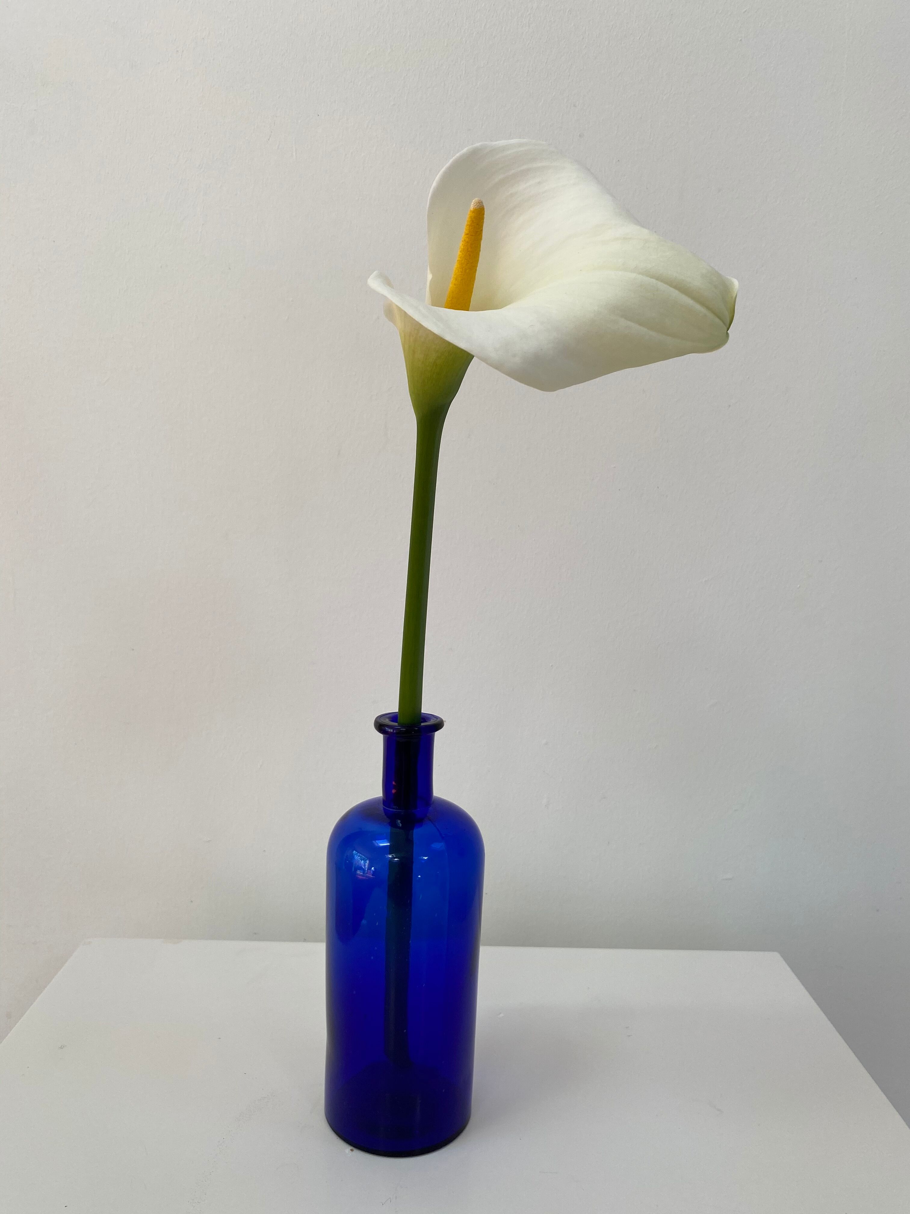 Cobalt blue glass pharmacy bottle