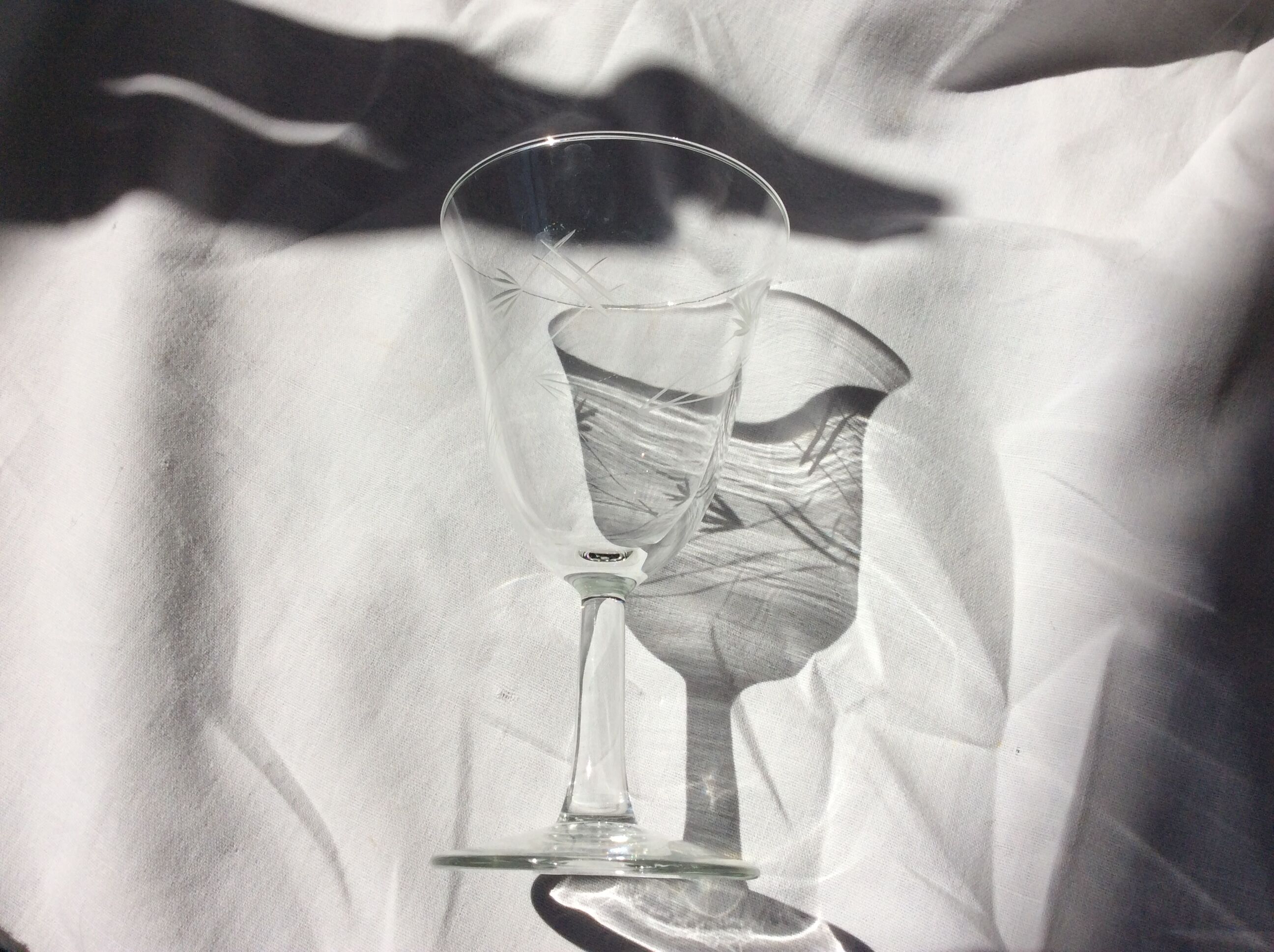 10 engraved foot glasses