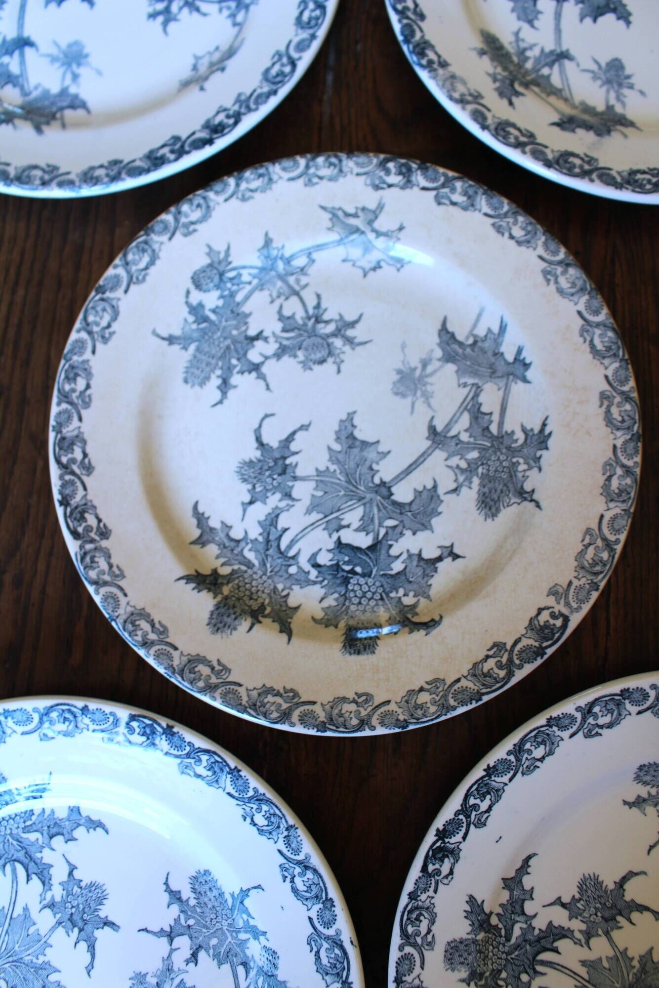 A set of 5 flat plates Chardon Bleu Terre de Fer Clairefontaine Righi