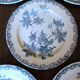 A set of 5 flat plates Chardon Bleu Terre de Fer Clairefontaine Righi