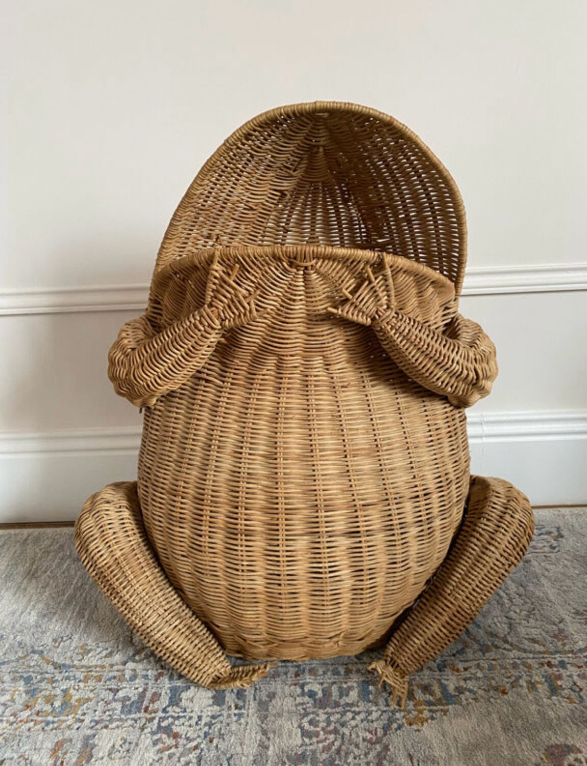 Willow frog Olivier Cajan