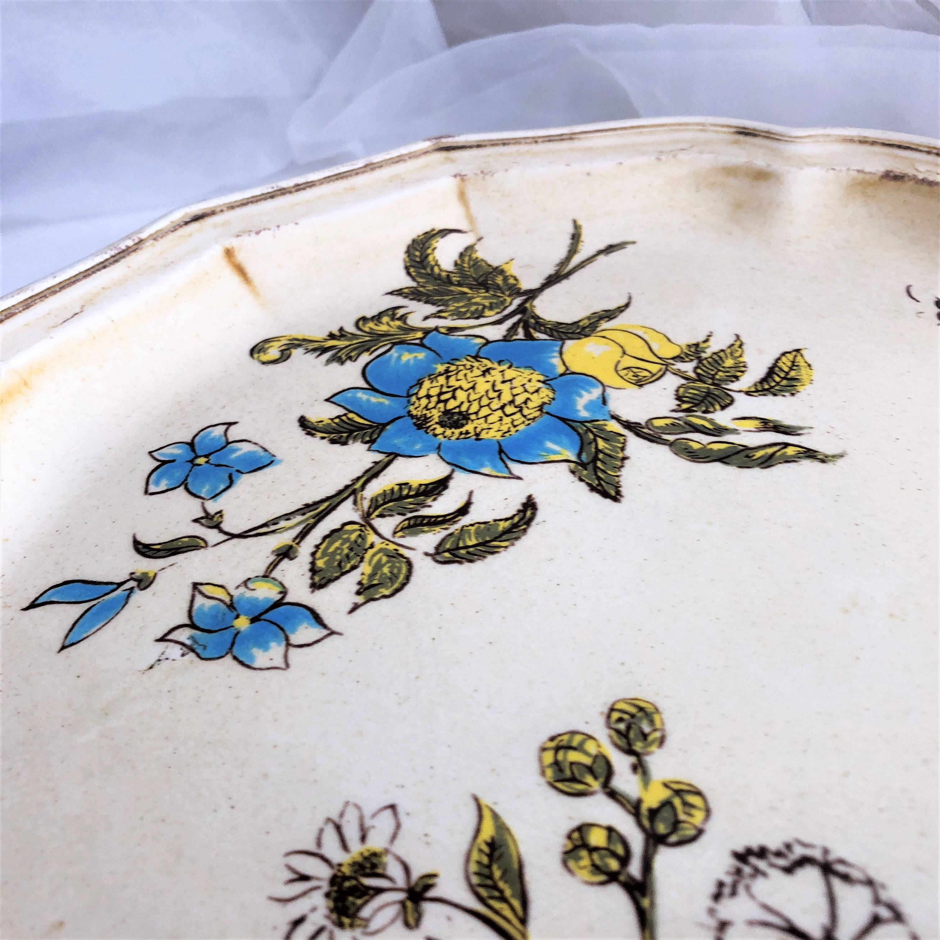 Decorative plate from Salins France decor Montpellier 25.5 cm