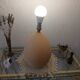 Brussels porcelain lamp ostrich egg