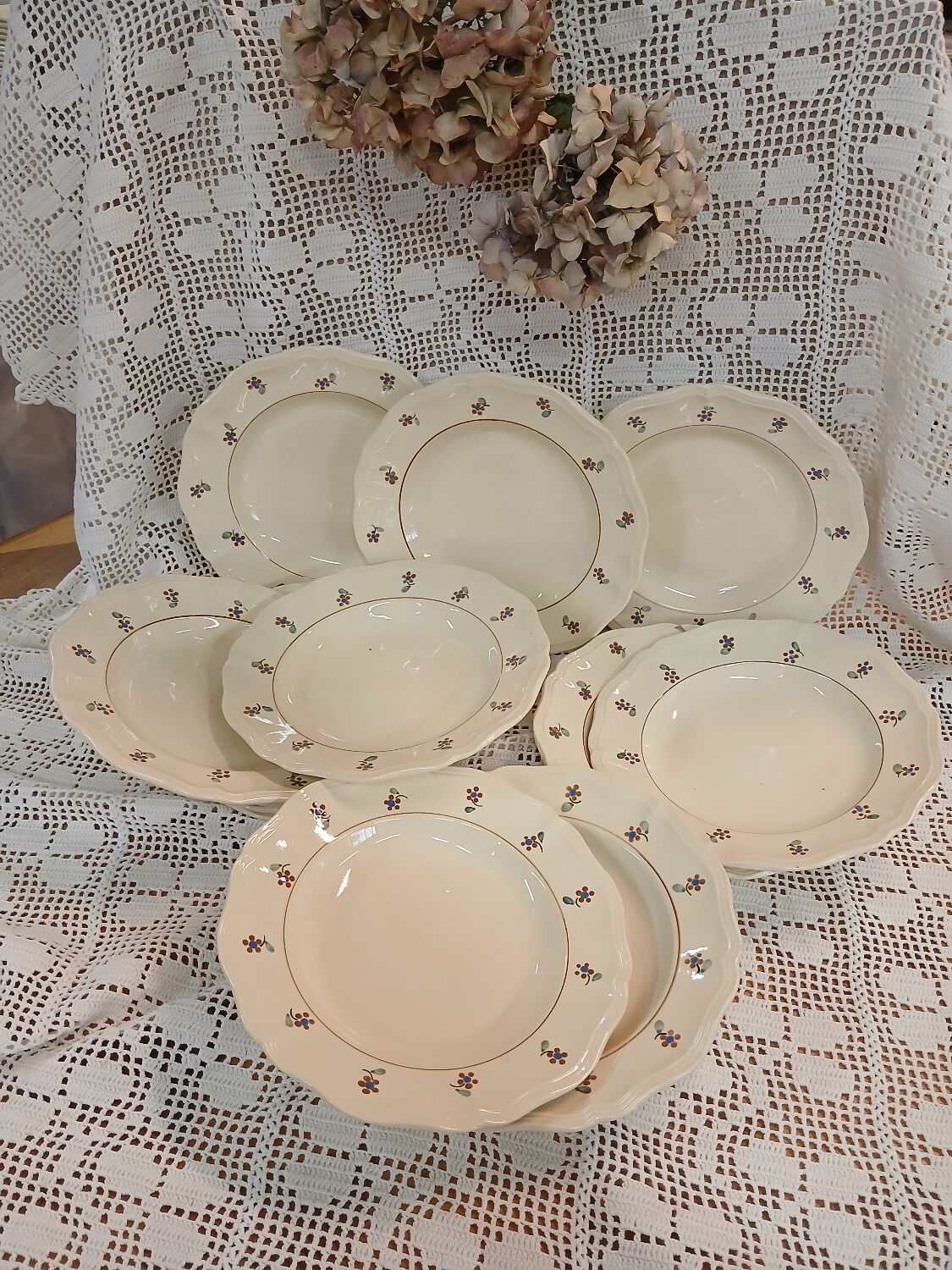 12 old Digoin and Sarreguemines soup plates
