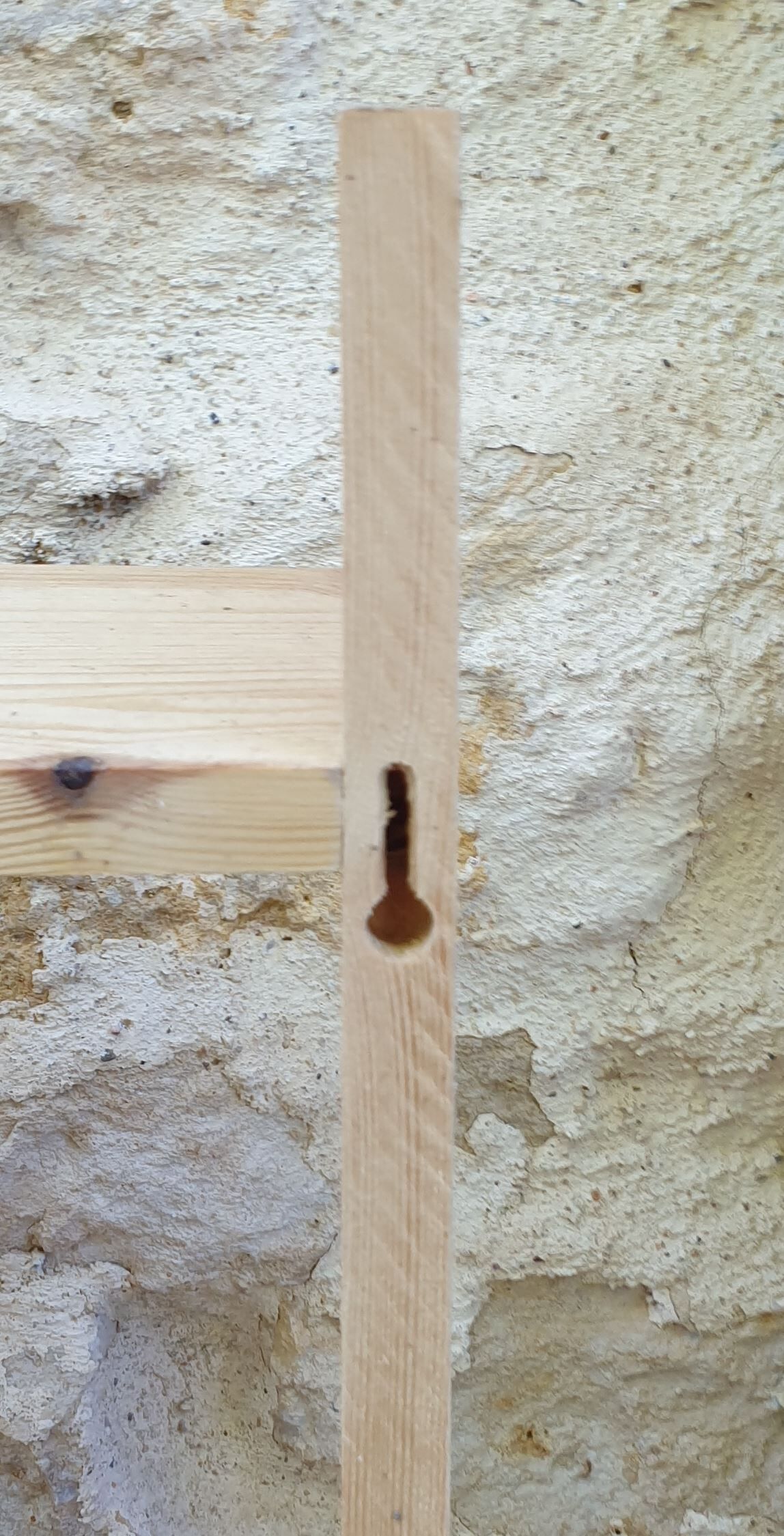 Wooden landscape / library