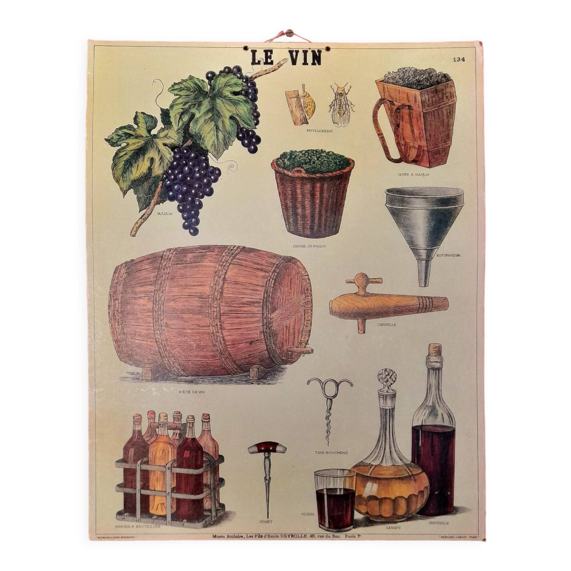 Educational poster Deyrolles Le Vin.