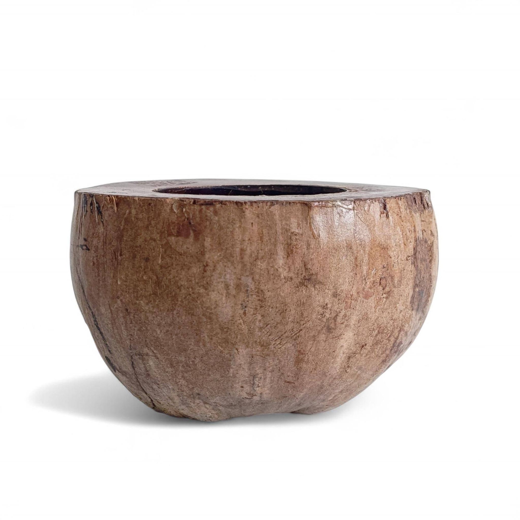 Centre de table Wabi Sabi moderne organique Coco de Mer, sculpté à la main, 19e siècle.