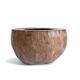 Wabi Sabi Organic Modern Coco de Mer Centerpiece, Hand-Carved, 19th C.