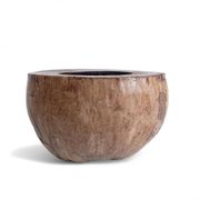 Centre de table Wabi Sabi moderne organique Coco de Mer, sculpté à la main, 19e siècle.