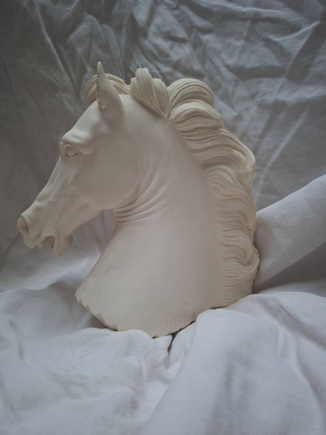 Horse head A. Giannelli