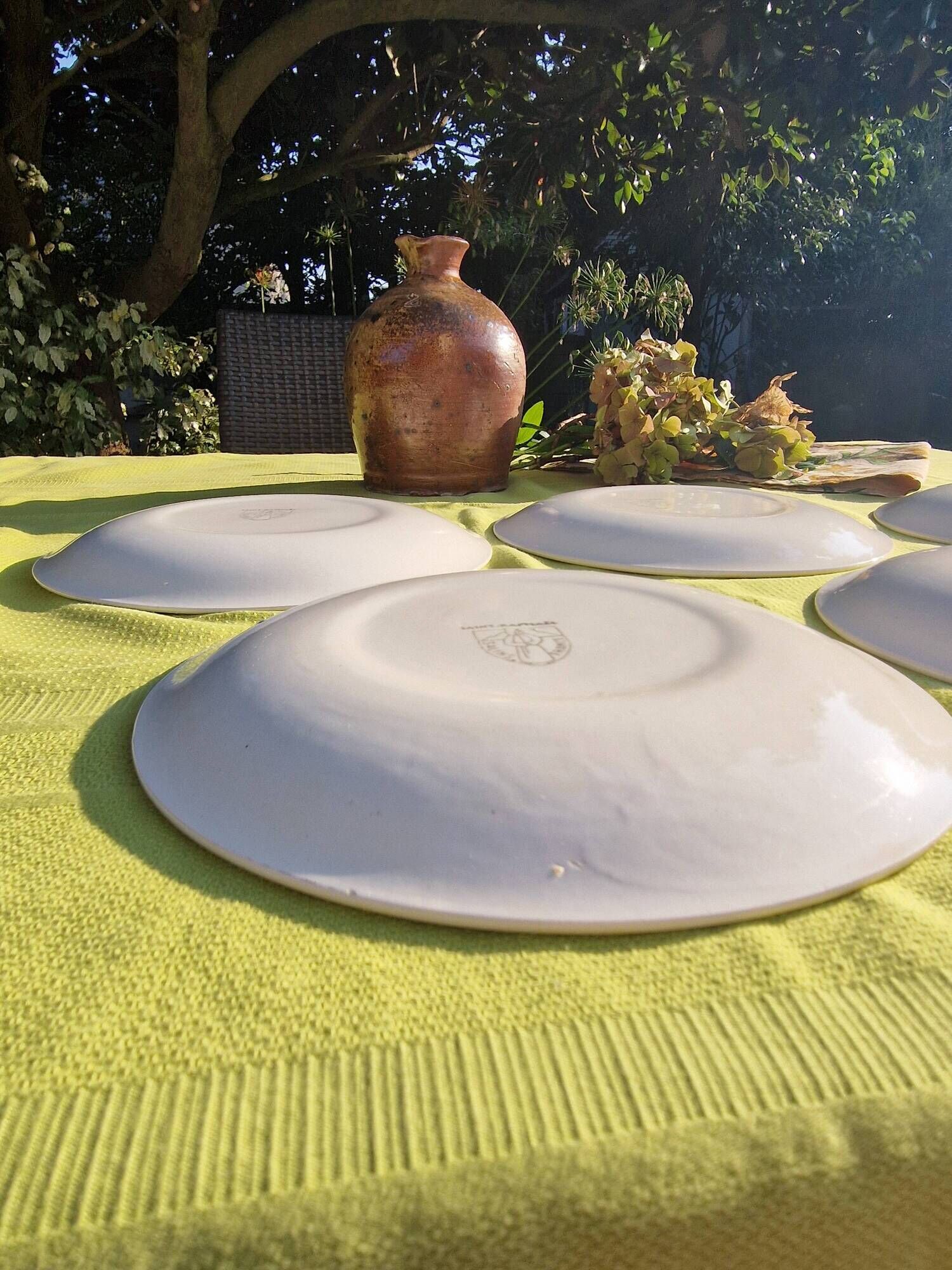 Set of 5 salins flat plates, saint raphael model, yellow checks, 24 cm, 60s