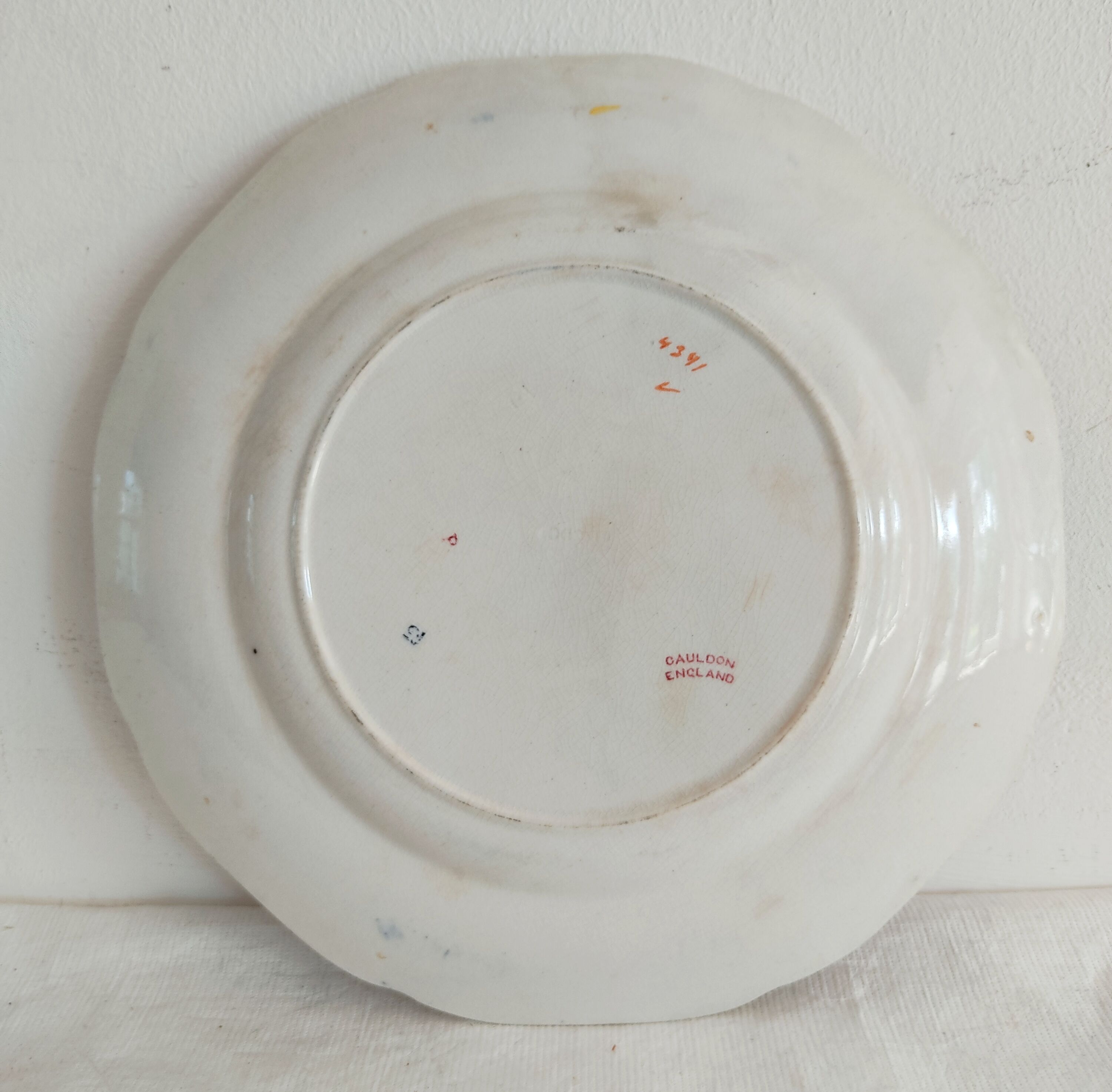 Flower plate Cauldon England 19th