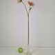 Art Nouveau French Gladioli Fluted Glass Vase, 1920s