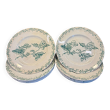 Set of 12 green ironstone flat plates