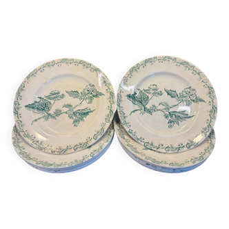 Set of 12 green ironstone flat plates