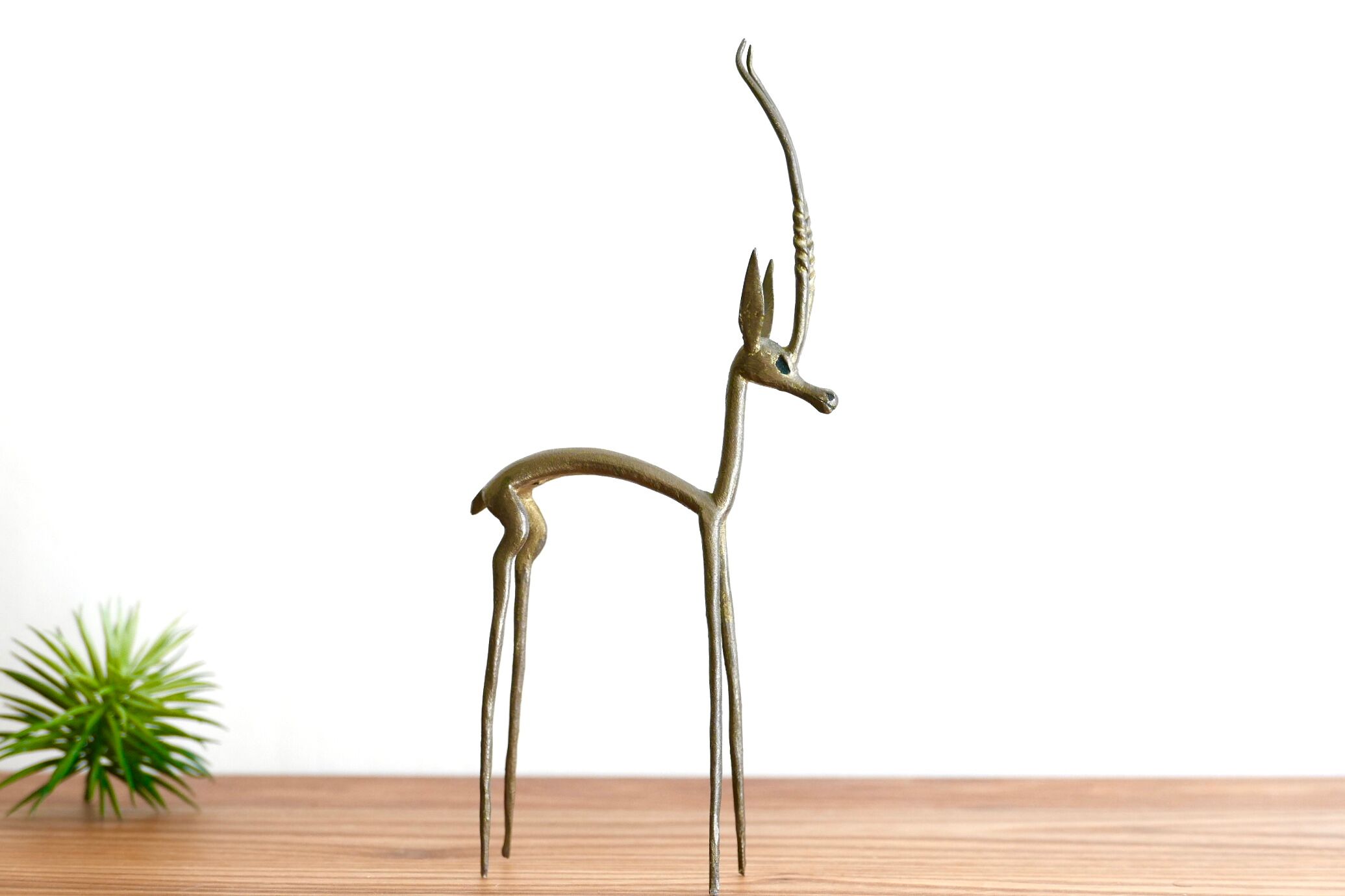 Gazelle brass, 50 years