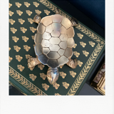 Brass turtle