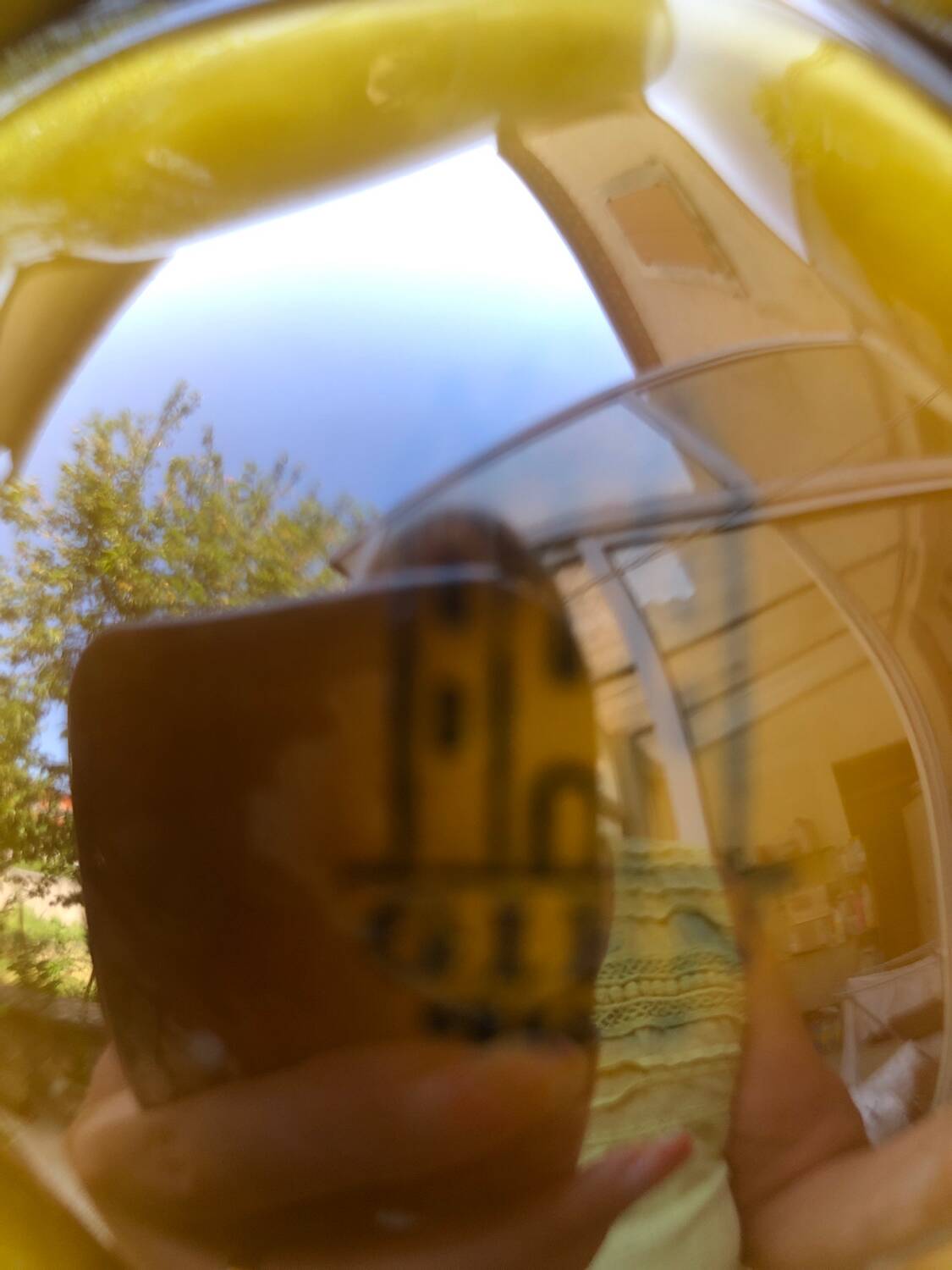 Set of 6 Gien oyster plates