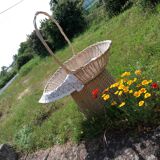 Large model display basket