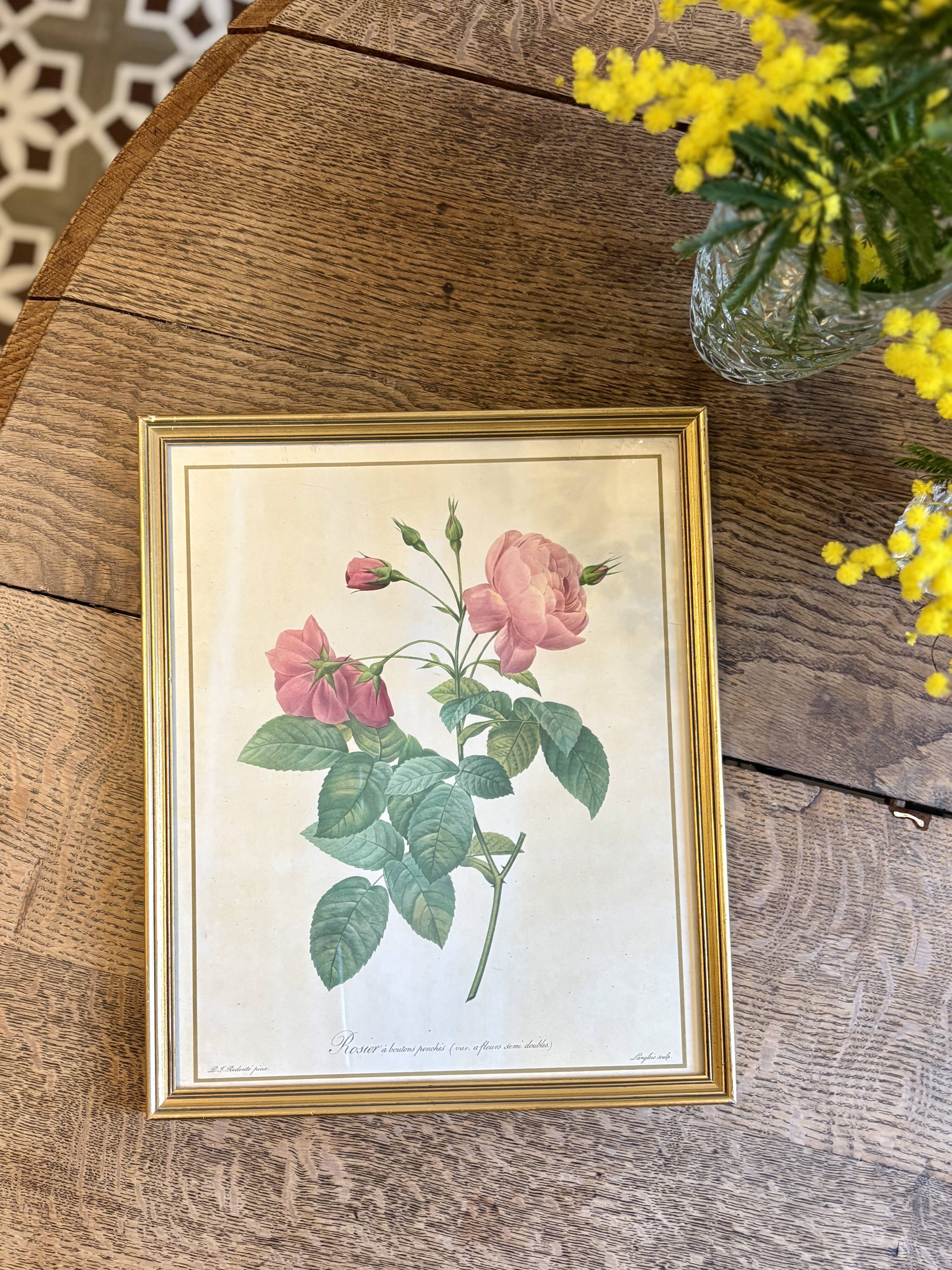 Old frame Redouté roses