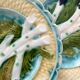 6 antique asparagus plates in Salins faience barbotine